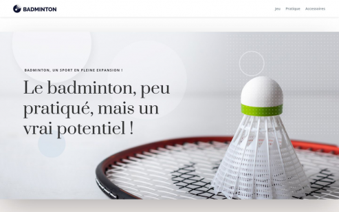 https://www.bad-minton.info