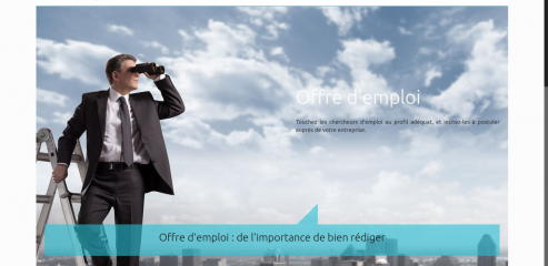 https://www.offres-d-emploi.org